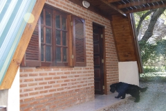 cabanas-que-acepten-mascotas