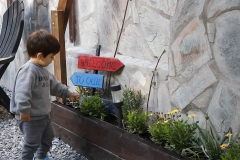 cantero-con-plantas-cabanas-en-alquiler